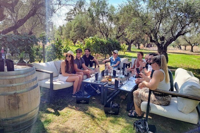 A group of people seated on outdoor furniture around a table with drinks, in a park with trees and grass. 2