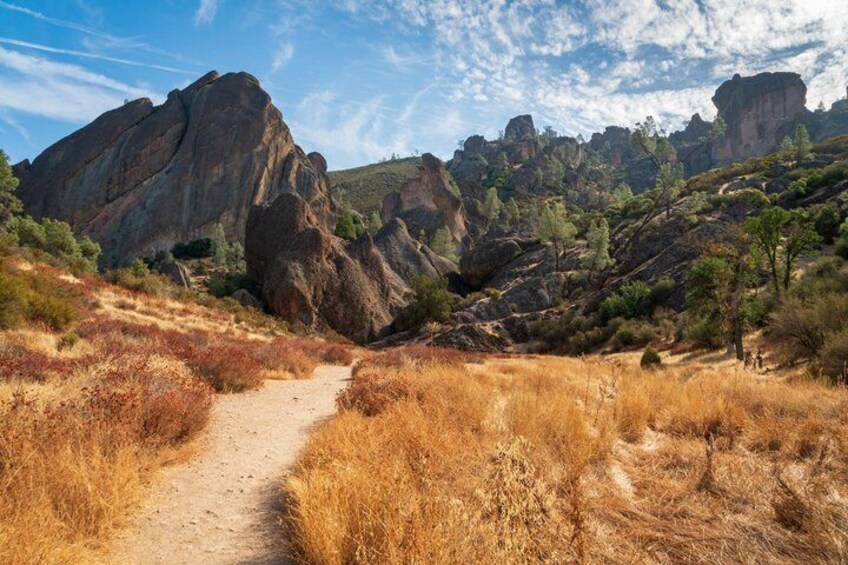 A rocky canyon with a dirt path, sparse vegetation, and large rock formations. 5