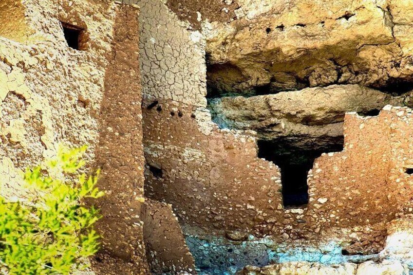 Ancient rock walls with holes and a small green plant. 2