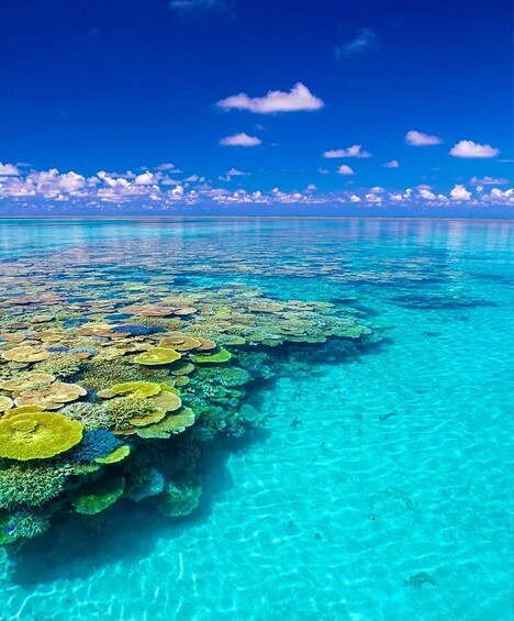 A clear blue sea with coral reefs and a distant shoreline under a bright blue sky. 1