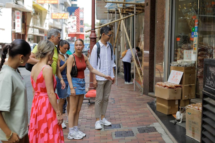 A group of people standing on a brick sidewalk, a cat sitting on the ground, and cardboard boxes stacked outside a shop. 3