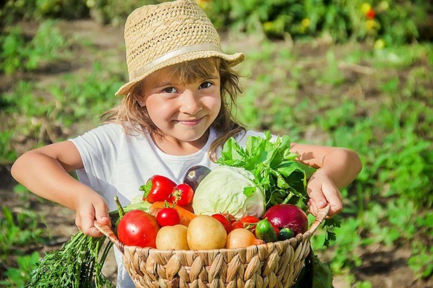 Harvesting the vegetables - Amalfi Coast Cooking Class 1