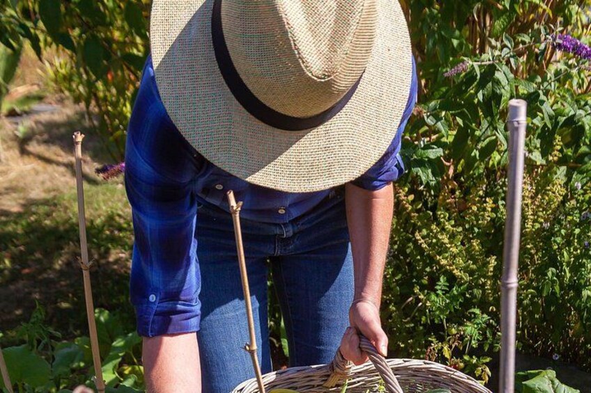 Ingredients harvesting - Amalfi Coast Cooking Class 3
