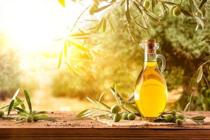 Olive grove - Amalfi Coast 2