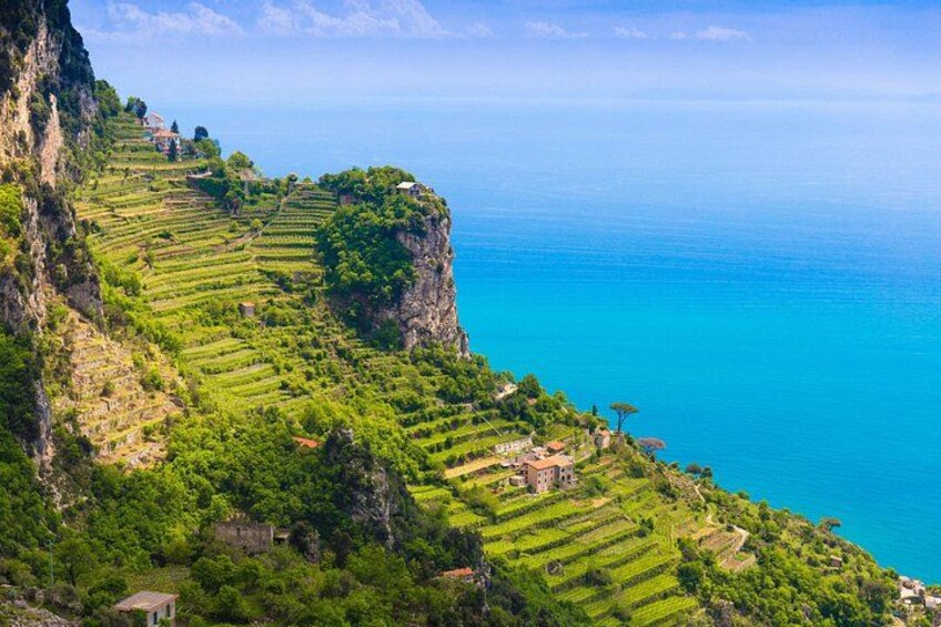 Terraced gardens - Amalfi Coast Cooking Class 4