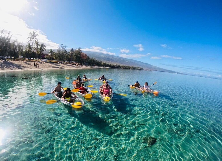 People kayaking on a clear, shallow lake surrounded by palm trees and a distant shoreline. 1