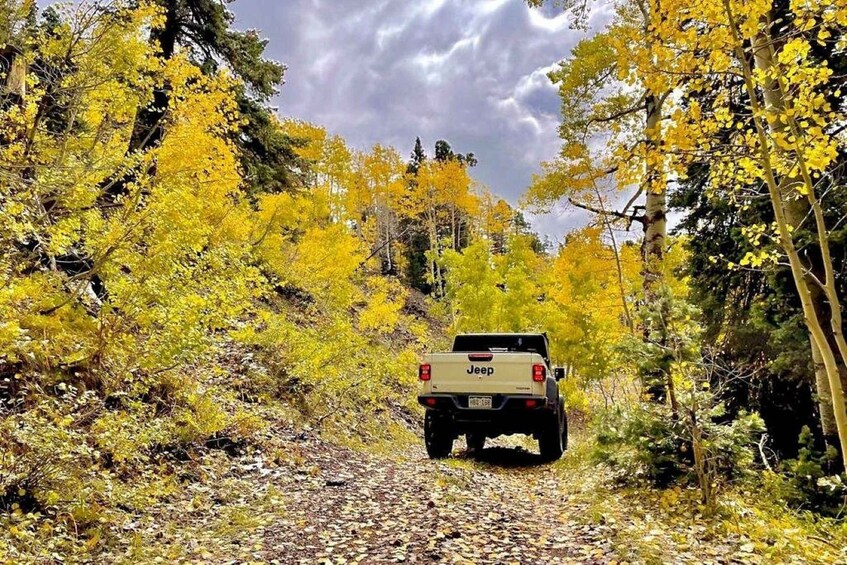 A Jeep on a gravel path surrounded by autumn foliage. 2