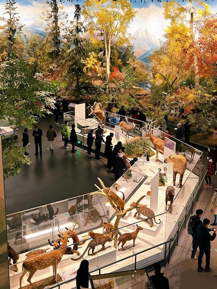 A museum exhibit with taxidermy animals and a mountainous backdrop. 4