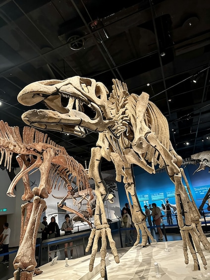 A dinosaur skeleton exhibit with visitors observing. 5