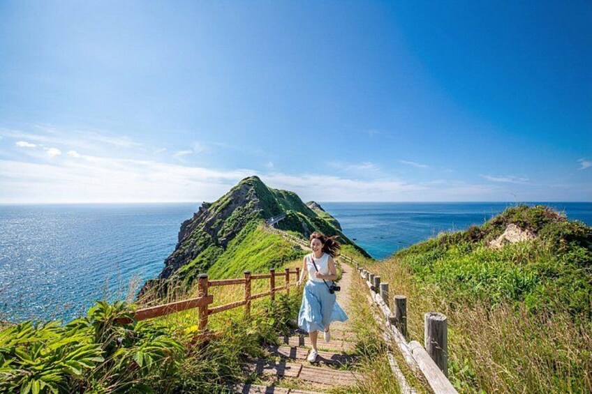 A person walking on a wooden staircase beside a cliff overlooking the ocean. 1