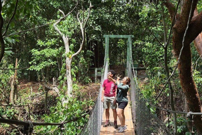 A suspension bridge in a forested area with people standing on it. 1