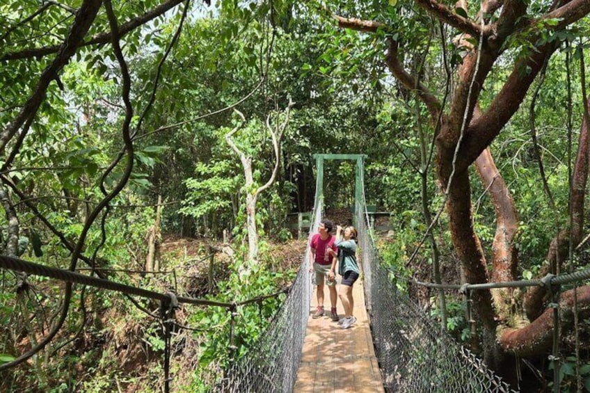A suspension bridge in a forested area with people walking on it. 2