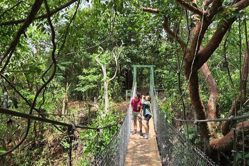 A suspension bridge in a forested area with people walking on it. 2