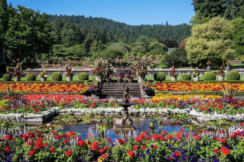 Victoria Private Tour in Butchart Gardens, SkyWalk, Ferry 3