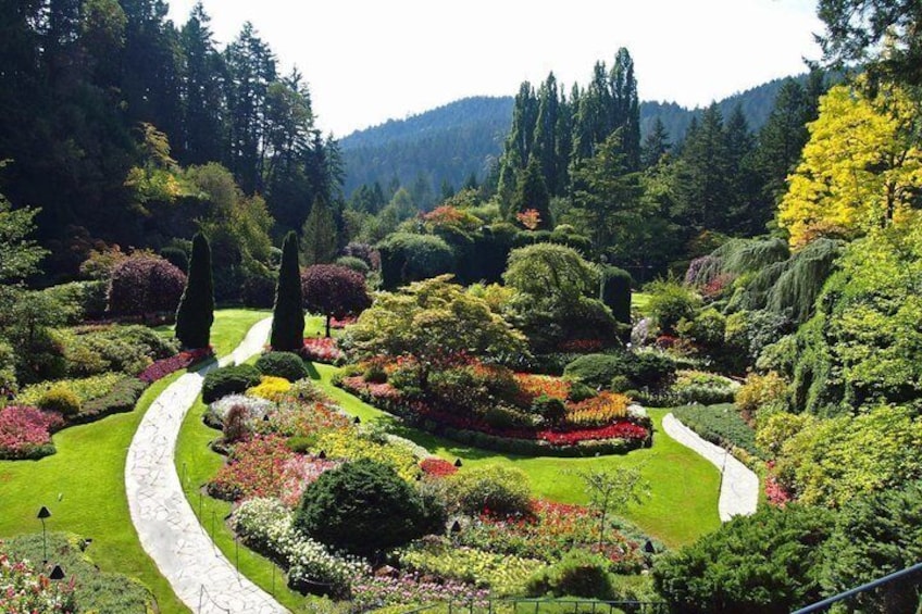 A landscaped garden with a winding path, various shrubs, and trees. 4
