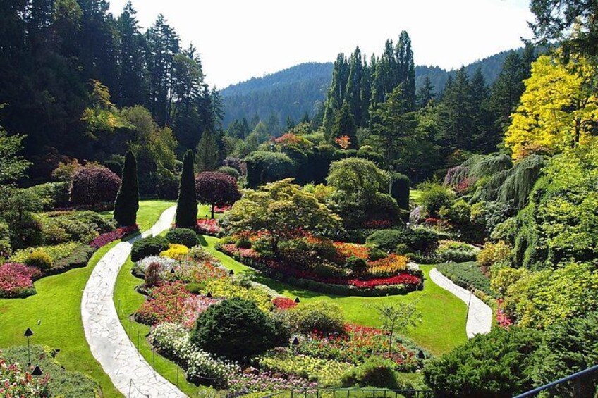 Victoria Private Tour in Butchart Gardens, SkyWalk, Ferry 4