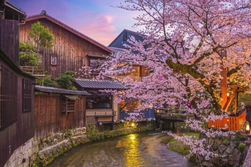A traditional Japanese street with cherry blossoms, wooden buildings, and a stone pathway. 2
