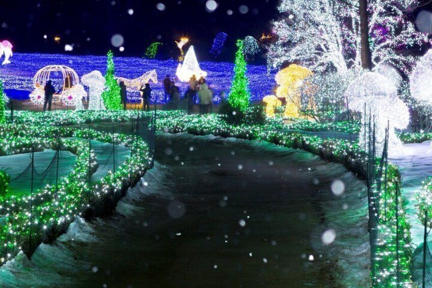 A nighttime garden with illuminated trees and pathways. 3