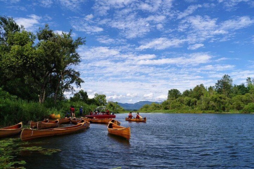 Canoes on a calm river, surrounded by lush greenery and trees. 4