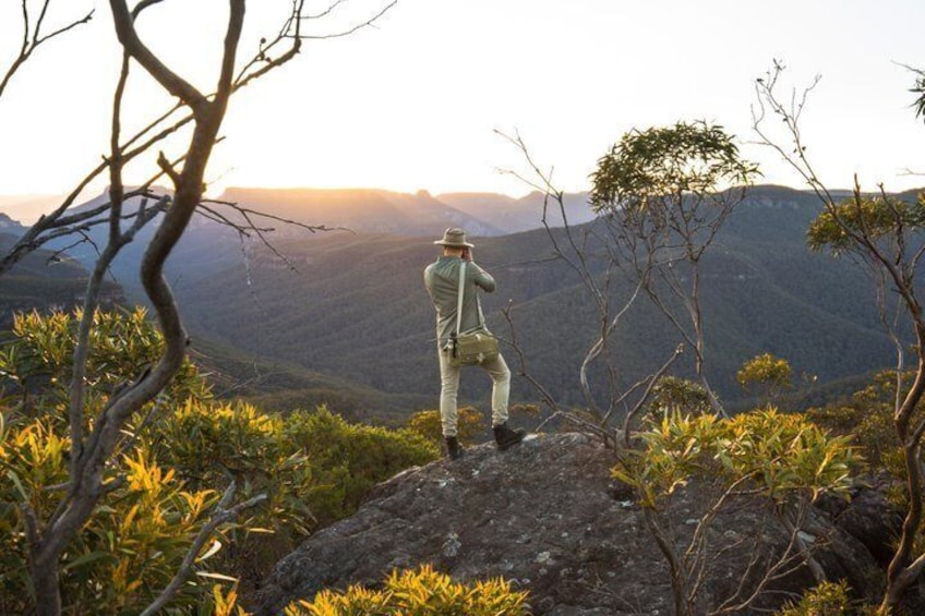 Blue Mountains Wild Kangaroos, Hidden Trails & Sunset from Sydney 1