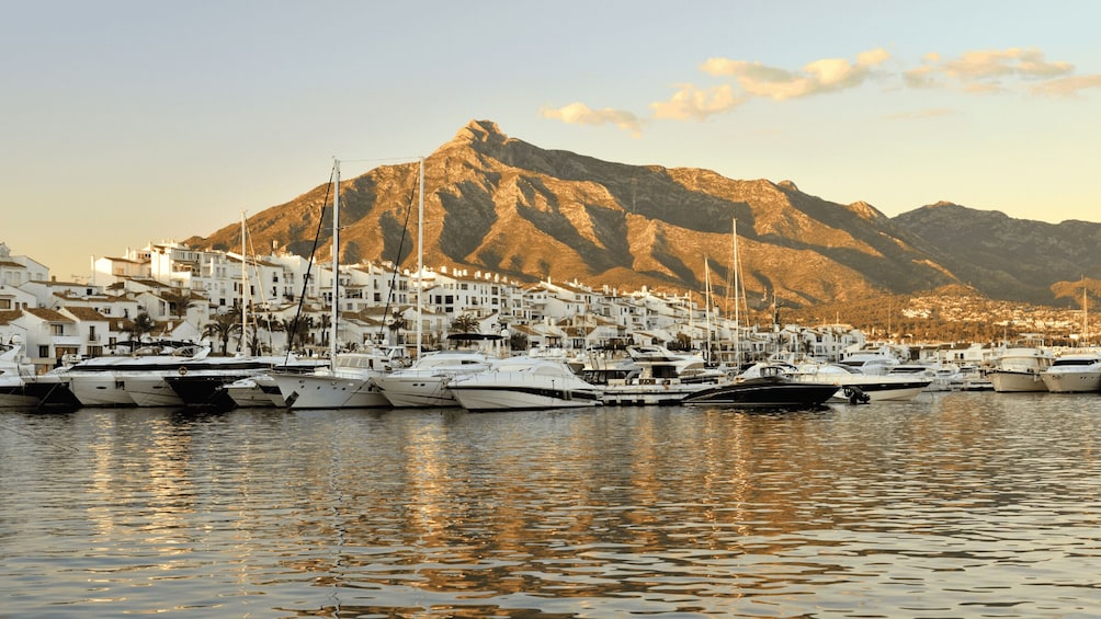 A marina with yachts docked, a coastal town, and a mountain in the background. 5