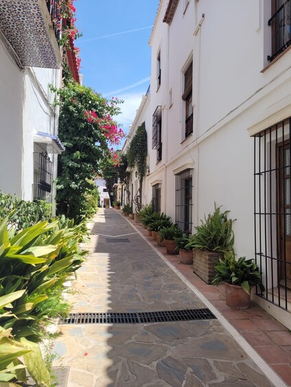 A narrow stone-paved alley flanked by white buildings with black window bars, potted plants, and flowering vines. 4