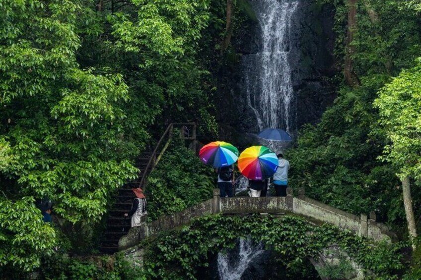 A bridge over a waterfall surrounded by lush greenery. 1