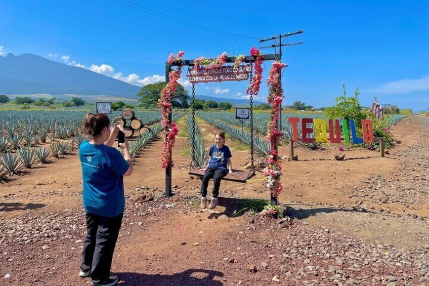 A person taking a photo of a child at a decorated archway in a vineyard. 4