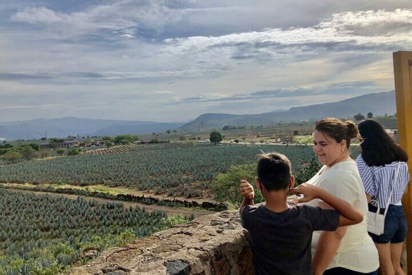 A family observing a vineyard. 2