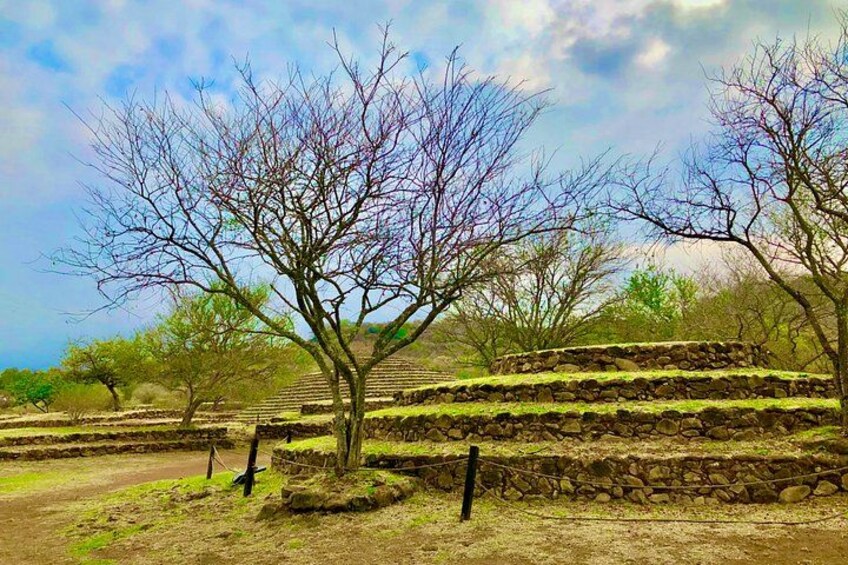 Guachimontones Round Pyramids: Half-Day Private Tour 4