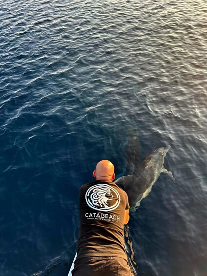 A person in a brown shirt with a logo, looking at a dolphin in the water. 3