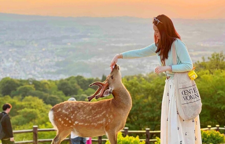 A person feeding a deer with a bag labeled 'CENTE WOMAN' in a park with a view of a cityscape. 1