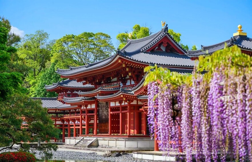 A traditional Japanese temple with red and black architecture, surrounded by lush greenery and purple wisteria. 3