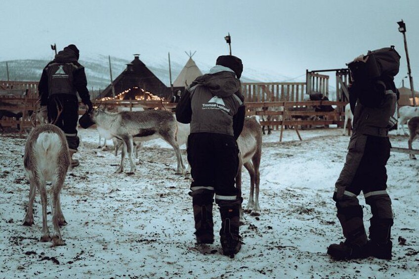 A snowy landscape with people in outdoor gear, a wooden structure, and a dog. 3