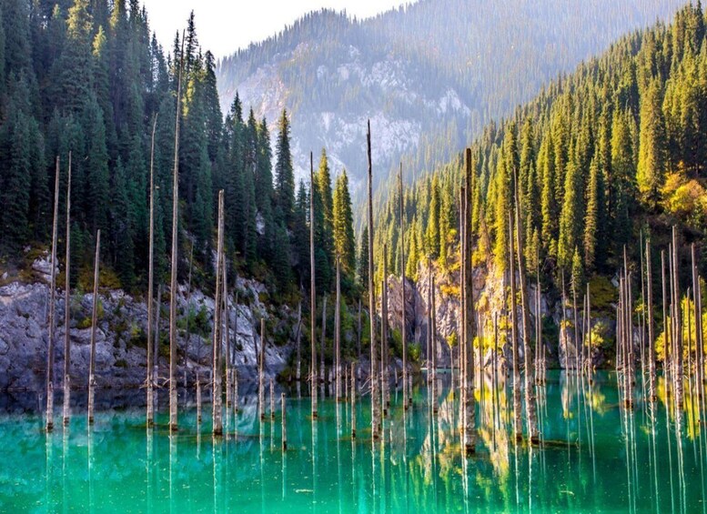 A forested area with a clear turquoise lake, surrounded by tall trees and rocky terrain. 5