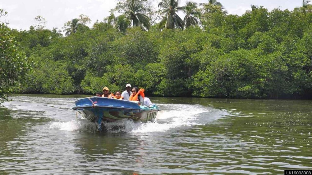 A boat with passengers on a river surrounded by dense greenery. 4