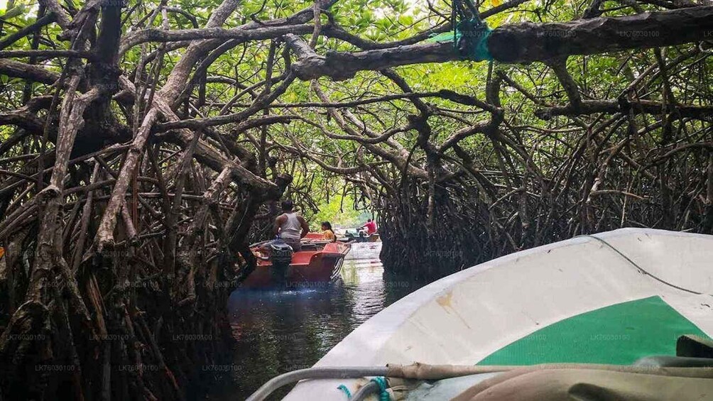 A narrow waterway flanked by dense mangrove trees with boats navigating through. 1