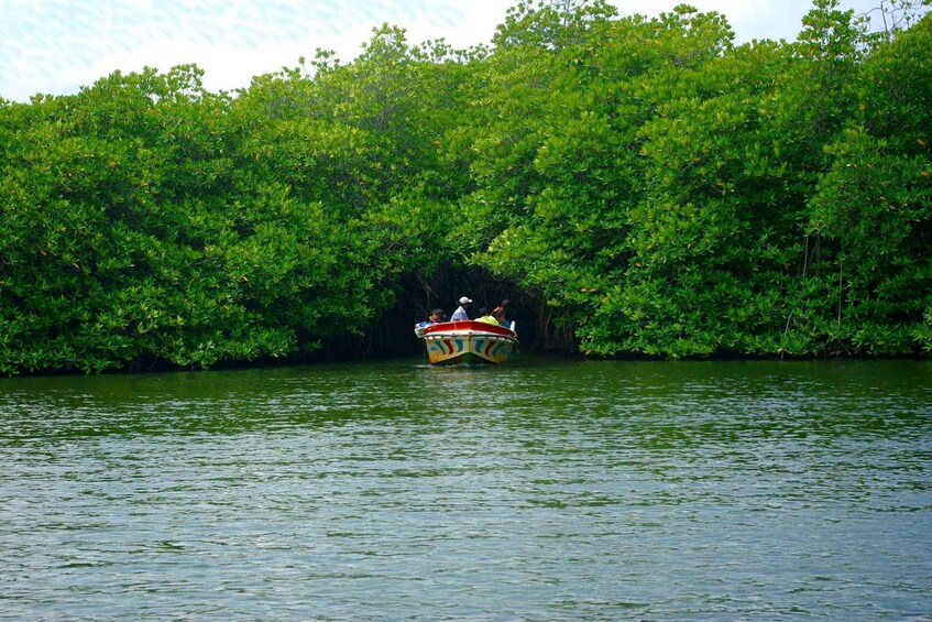 A colorful boat on a calm river surrounded by dense green foliage. 3