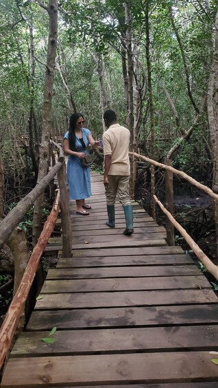 A wooden bridge in a forested area with dense foliage. 2
