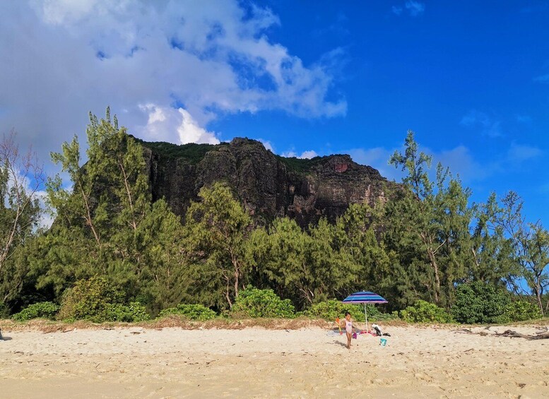 A beach with a large mountain in the background, a person walking, and an umbrella. 4