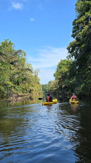 Two people kayaking on a calm river surrounded by dense greenery. 1