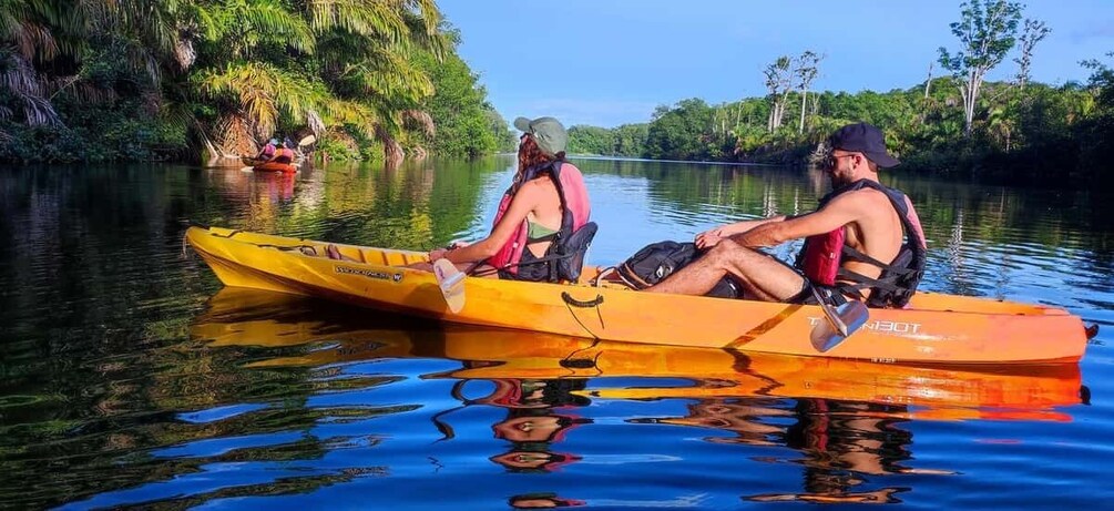 Two people kayaking on a calm river surrounded by lush greenery. 2