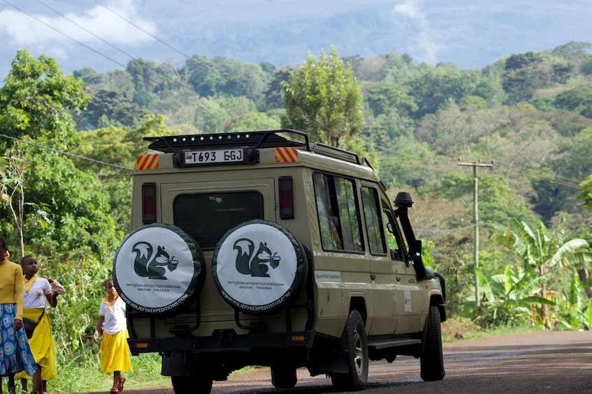 A safari vehicle with a license plate, two spare wheels, and a logo on the back. 3