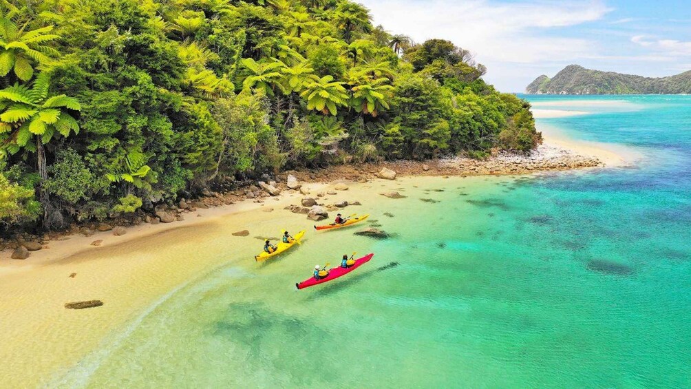 Kayakers on a turquoise beach with dense tropical foliage. 1