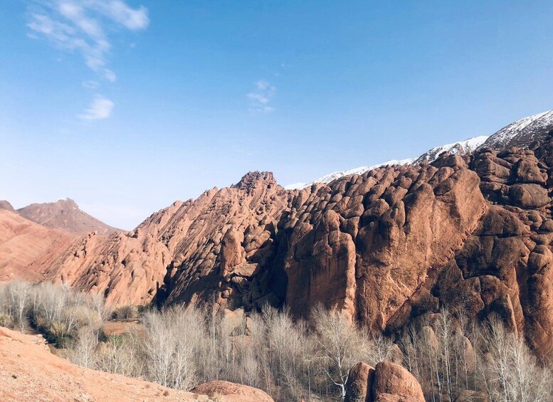 Picture 9 for Activity Dades Gorges: Monkey Toes Rock Formation Guided Trek 4