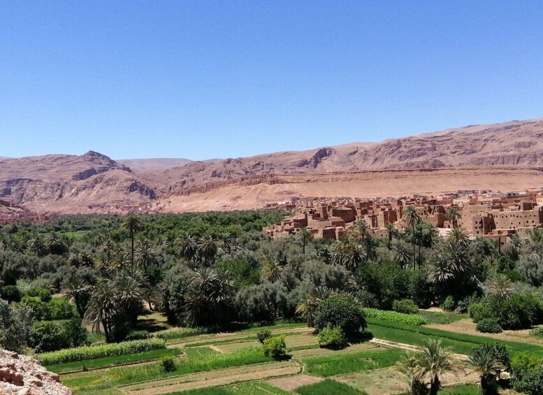 Picture 4 for Activity Dades Gorges: Monkey Toes Rock Formation Guided Trek 3