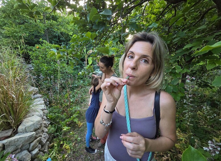 Picture 4 for Activity Noto: Edible Forest Food Tasting of Medicinal Herbs and Fruit 3