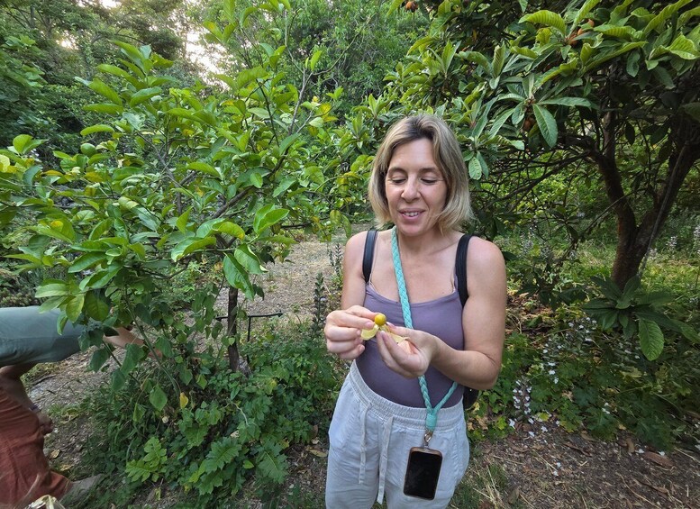 Noto: Edible Forest Food Tasting of Medicinal Herbs and Fruit 1