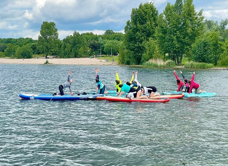 People on paddleboards in a calm body of water with trees and a beach in the background. 3