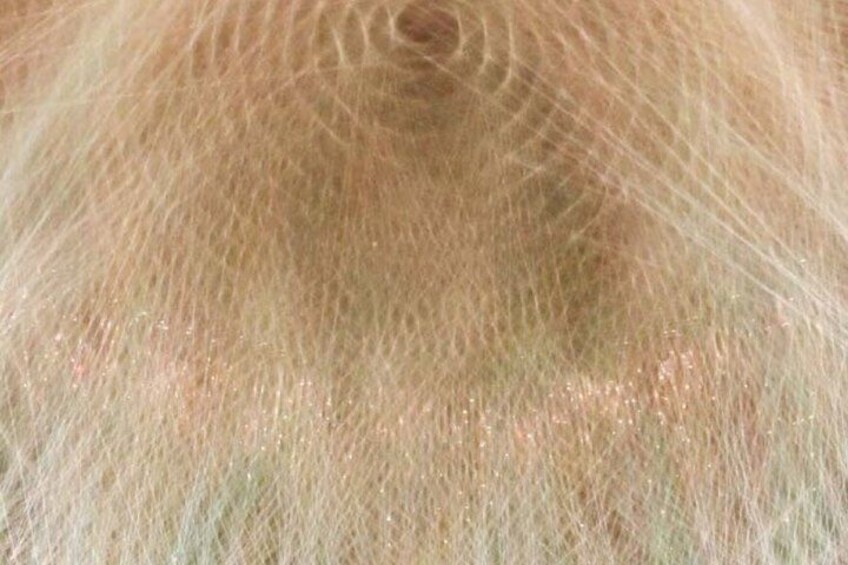 A close-up of a textured surface with a spiral pattern. 5